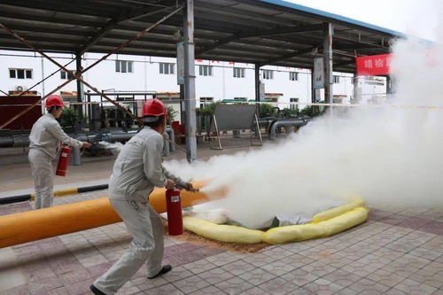 油品泄露火灾应急演练 安全月里“愈演愈烈”的输油管道实战考验